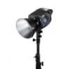 ZHIYUN MOLUS B300 | Luz LED COB de 300W con temperatura bicolor y diseño compacto