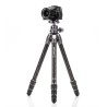 Benro Trípode Tortoise 24C + GX30 | trípode de carbono | trípode profesional vídeo