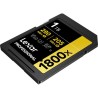 Lexar SD Pro Gold UHS-II 1800x 1TB V60 | Tarjeta SD de alto rendimiento para fotografía y video en 4K
