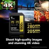 Lexar SD Pro Gold UHS-II 1800x 1TB V60 | Tarjeta SD de alto rendimiento para fotografía y video en 4K