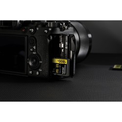 Lexar SD Pro Gold UHS-II 1800x 1TB V60 | Tarjeta SD de alto rendimiento para fotografía y video en 4K