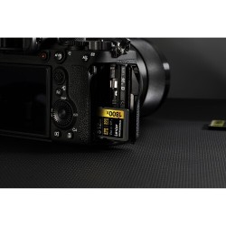 Compra Lexar SD Pro Gold UHS-II 1800X 512GB | Tarjeta de Memoria Profesional Ultra Rápida