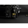 Compra Lexar SD Pro Gold UHS-II 1800X 512GB | Tarjeta de Memoria Profesional Ultra Rápida