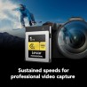 Lexar CFexpress Pro Tipo B Gold 1TB | Tarjeta de memoria profesional de alta capacidad para grabaciones en 8K y archivos RAW