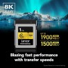 Lexar CFexpress Pro Tipo B Gold 1TB | Tarjeta de memoria profesional de alta capacidad para grabaciones en 8K y archivos RAW