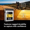 Lexar CFexpress Pro Tipo B Gold 2TB | Tarjeta de memoria de máxima capacidad para grabaciones en 8K y almacenamiento RAW