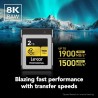 Lexar CFexpress Pro Tipo B Gold 2TB | Tarjeta de memoria de máxima capacidad para grabaciones en 8K y almacenamiento RAW