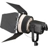 Compra Nanlite FL-20G Lente Fresnel con Voletas | Control de Iluminación para Producciones Profesionales