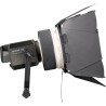 Compra Nanlite FL-20G Lente Fresnel con Voletas | Control de Iluminación para Producciones Profesionales