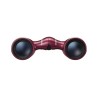 Nikon Prismáticos Aculon T02 8×21 Rojo | Compactos tipo techo fáciles de transportar
