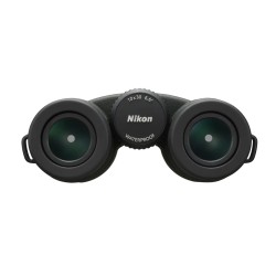 Nikon Prismáticos Prostaff P7 10×42 | Claridad y campo amplio con diseño manejable
