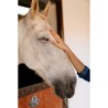 Polaroid Cartucho Hi-Print 2x3 | Pack de 20 hojas adhesivas para impresiones vibrantes