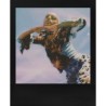 Polaroid Película Go Negra Pack Doble | 16 fotos instantáneas con marco negro para un toque artístico