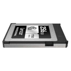 Compra Lexar CFexpress 256GB Type B Argent | Tarjeta de Memoria Profesional Ultra Rápida