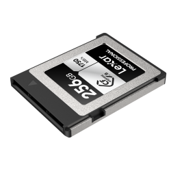 Compra Lexar CFexpress 256GB Type B Argent | Tarjeta de Memoria Profesional Ultra Rápida