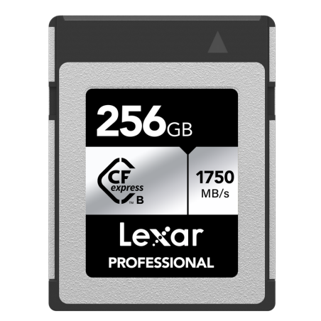 Compra Lexar CFexpress 256GB Type B Argent | Tarjeta de Memoria Profesional Ultra Rápida