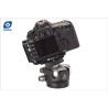 Leofoto Rótula LH-55 + Placa QP-70 | Rótula Leofoto con Placa de Montaje Rápido para Cámaras