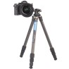 Leofoto Trípode Ranger LS-224C + Rótula LH-25 | trípode de carbono | trípode de viaje
