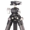 Leofoto Trípode Ranger LS-284C con Rótula LH-30 | Trípode de Carbono | Trípode para Cámara DSLR
