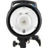 Elinchrom Kit D-Lite RX 4 Box | kit de iluminación | flash de estudio | kit de flashes de estudio para fotografía