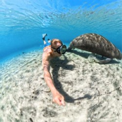 Insta360 X5 Invisible Dive Case | Compra Insta360 X5 Invisible Dive Case | Precio Insta360 X5 Invisible Dive Case | carcasa buce