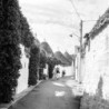 Kentmere Pan 400 120 | Compra Kentmere Pan 400 120 | Precio Kentmere Pan 400 120 | película blanco y negro 120 | película format