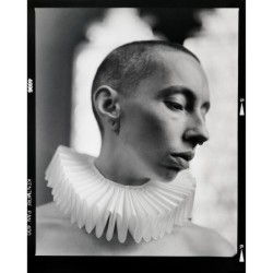 Kentmere Pan 400 120 | Compra Kentmere Pan 400 120 | Precio Kentmere Pan 400 120 | película blanco y negro 120 | película format