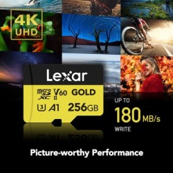 Lexar microSDXC Gold Series UHS-II 256GB V60 | Compra Lexar microSDXC Gold Series UHS-II 256GB V60 | Precio Lexar microSDXC Gold