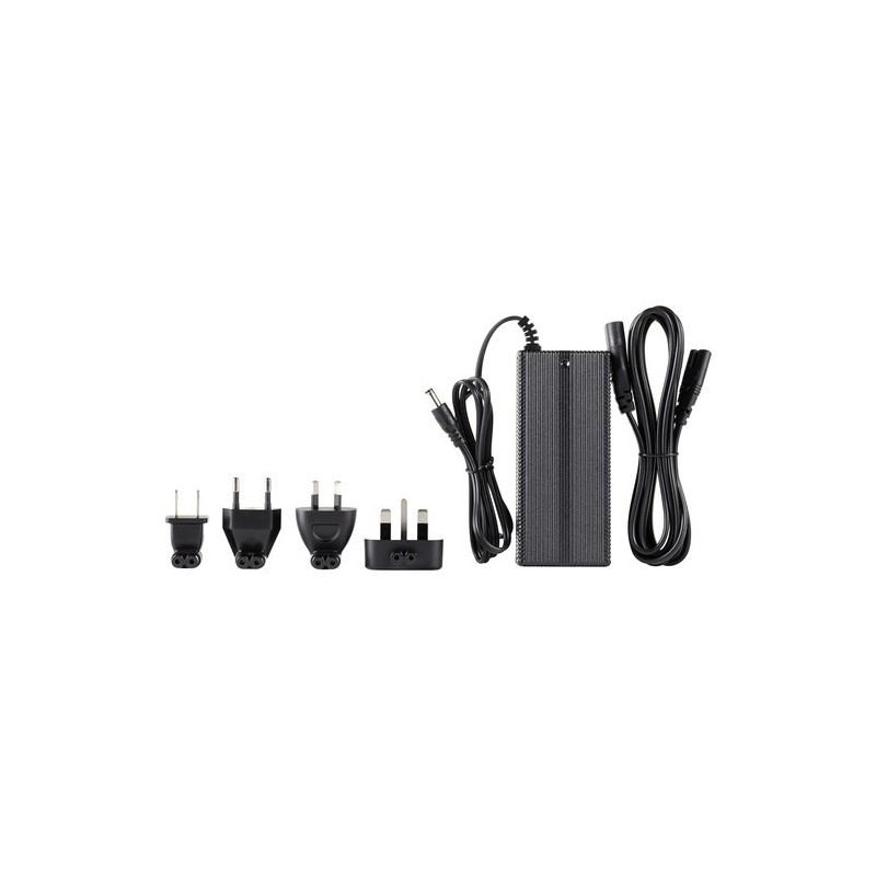 Elinchrom Cargador de Batería Li-Ion para ELB 500 | cargador de batería | cargador de flash