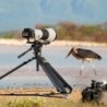 SmallRig 4429 Lens Support Manfrotto | Compra SmallRig 4429 | soporte objetivo fotografia wildlife manfrotto