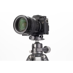 Benro Rótula GX 35 Perfil Arca | Rótula de bola profesional con sistema de doble panorámica y compatibilidad Arca Swiss