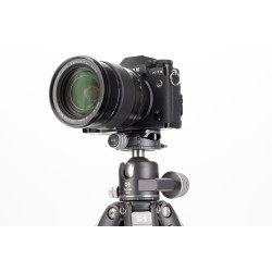 Benro Rótula GX 35 Perfil Arca | Rótula de bola profesional con sistema de doble panorámica y compatibilidad Arca Swiss