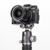 Benro Rótula VX-25 | Rótula de bola dual compatible con Arca Swiss para fotografía profesional