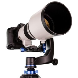 Benro Rótula Pendular de Carbono | Rótula gimbal profesional de fibra de carbono para teleobjetivos pesados