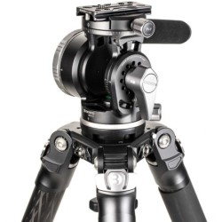 Benro WH15 Rótula Wildlife | rotula gimbal teleobjetivos | cabezal para fauna y aves | rotula fotografia deportiva pesada