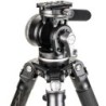 Benro WH15 Rótula Wildlife | rotula gimbal teleobjetivos | cabezal para fauna y aves | rotula fotografia deportiva pesada