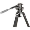 Benro WH15 Rótula Wildlife | rotula gimbal teleobjetivos | cabezal para fauna y aves | rotula fotografia deportiva pesada
