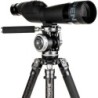 Benro WH15 Rótula Wildlife | rotula gimbal teleobjetivos | cabezal para fauna y aves | rotula fotografia deportiva pesada