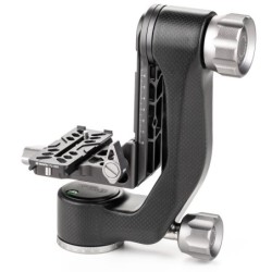Benro PL100N Placa Arca | placa arca gimbal fauna | placa liberacion rapida gh5cmini gh2n | placa camara teleobjetivo pesado