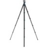 Benro BlackBird Carbono N00P | tripode carbono negro viaje | kit tripode rotula n00p camara movil | tripode plegable creadores
