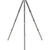 Benro Mammoth Carbono Serie 3 | tripode carbono bol 75mm | kit tripode video profesional pesado | tripode compatible cabezales p