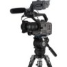 Benro BV6HPLUS Rótula 75mm | cabezal video base 75mm | rotula contrapeso 8 pasos video | rotula placa dual 501 arca