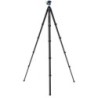 Benro BlackBird Carbono G36PT | tripode carbono negro pro | kit tripode rotula g36pt bajo perfil | tripode viaje columna carbono