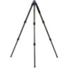 Benro Mach3 Carbono Serie 3 | tripode carbono 9 capas ligero | kit tripode columna corta incluida | tripode carga 35 libras prof