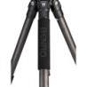 Benro Mach3 Carbono Serie 3 | tripode carbono 9 capas ligero | kit tripode columna corta incluida | tripode carga 35 libras prof
