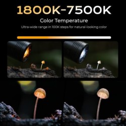 luz led macro | luz macro objetivo