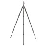 Benro Trípode de Carbono Rhino 24C + VX25 Kit | Trípode de Carbono | Trípode con Rótula de Vídeo
