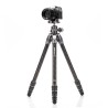 Benro Trípode de Carbono Tortoise 14C + GX25 | Trípode de Carbono | Trípode con Rótula